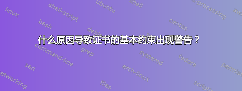 什么原因导致证书的基本约束出现警告？