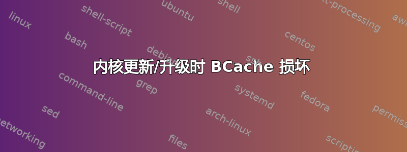 内核更新/升级时 BCache 损坏