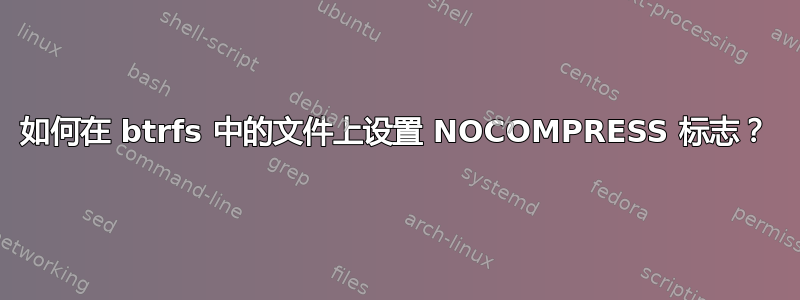 如何在 btrfs 中的文件上设置 NOCOMPRESS 标志？