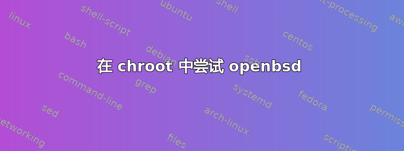 在 chroot 中尝试 openbsd