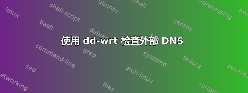 使用 dd-wrt ​​检查外部 DNS