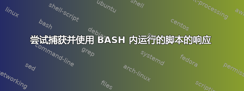 尝试捕获并使用 BASH 内运行的脚本的响应