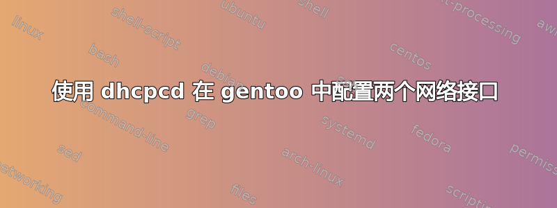 使用 dhcpcd 在 gentoo 中配置两个网络接口