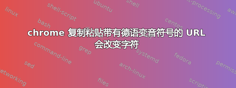 chrome 复制粘贴带有德语变音符号的 URL 会改变字符