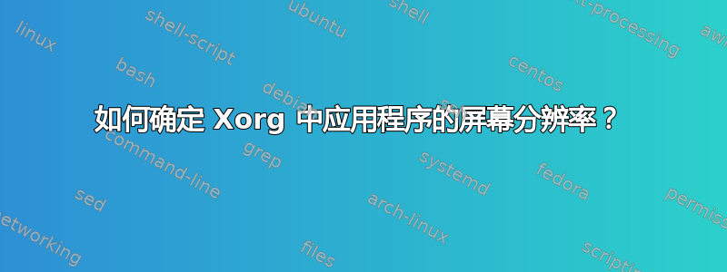 如何确定 Xorg 中应用程序的屏幕分辨率？