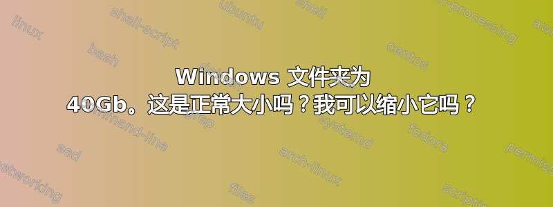 Windows 文件夹为 40Gb。这是正常大小吗？我可以缩小它吗？