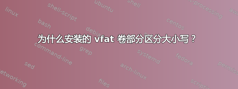 为什么安装的 vfat 卷部分区分大小写？