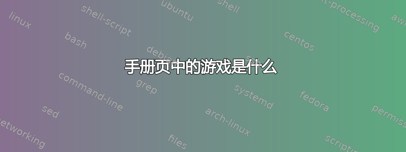 手册页中的游戏是什么