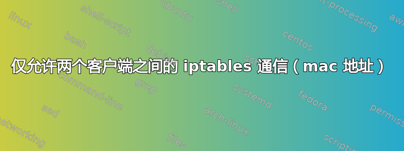 仅允许两个客户端之间的 iptables 通信（mac 地址）