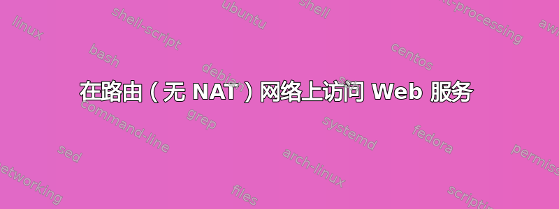 在路由（无 NAT）网络上访问 Web 服务