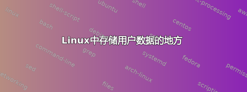 Linux中存储用户数据的地方