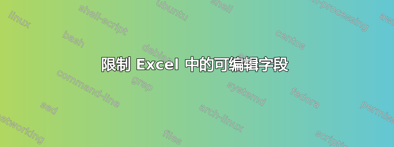 限制 Excel 中的可编辑字段