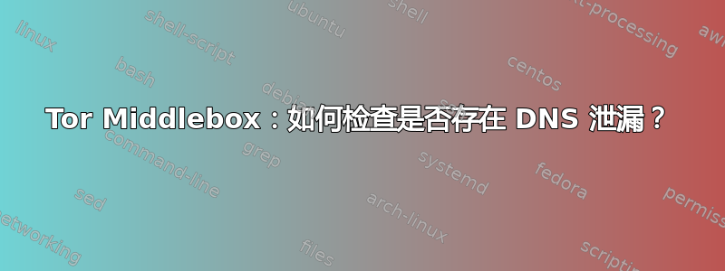 Tor Middlebox：如何检查是否存在 DNS 泄漏？