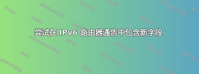 尝试在 IPv6 路由器通告中包含新字段