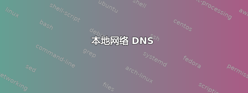 本地网络 DNS