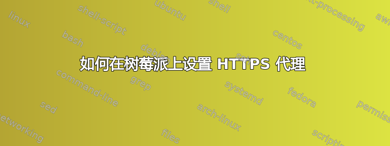 如何在树莓派上设置 HTTPS 代理