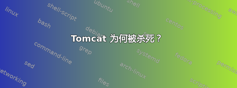 Tomcat 为何被杀死？