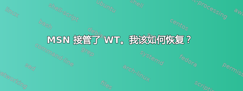 MSN 接管了 WT。我该如何恢复？