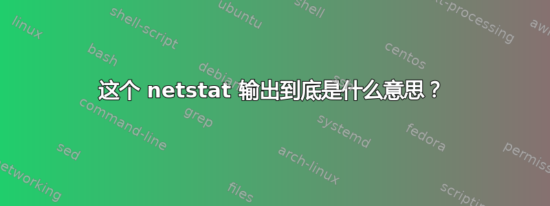 这个 netstat 输出到底是什么意思？