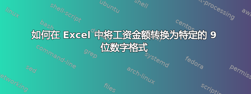 如何在 Excel 中将工资金额转换为特定的 9 位数字格式