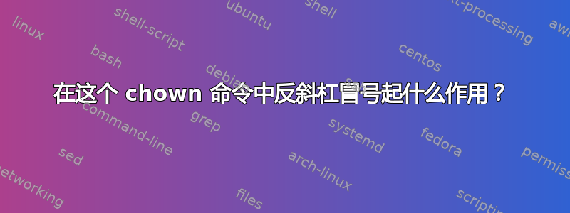 在这个 chown 命令中反斜杠冒号起什么作用？