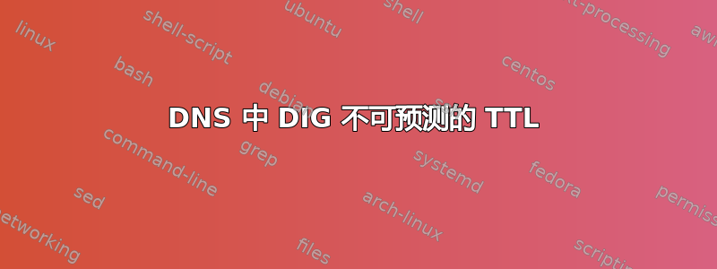 DNS 中 DIG 不可预测的 TTL