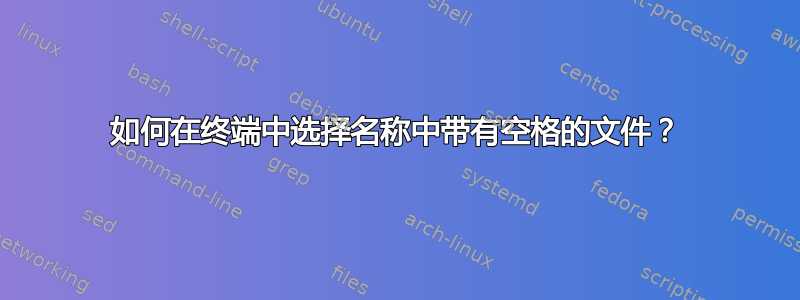 如何在终端中选择名称中带有空格的文件？