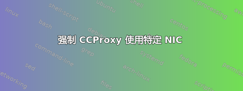 强制 CCProxy 使用特定 NIC