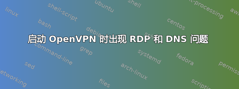 启动 OpenVPN 时出现 RDP 和 DNS 问题