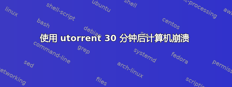 使用 utorrent 30 分钟后计算机崩溃