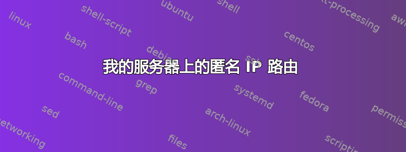 我的服务器上的匿名 IP 路由