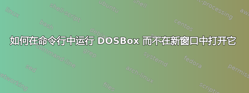 如何在命令行中运行 DOSBox 而不在新窗口中打开它