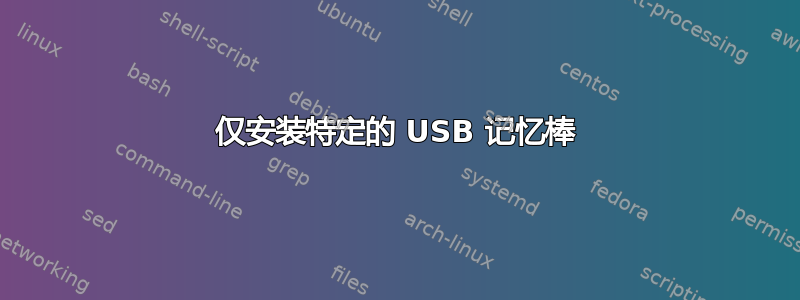 仅安装特定的 USB 记忆棒