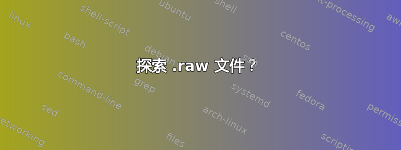 探索 .raw 文件？