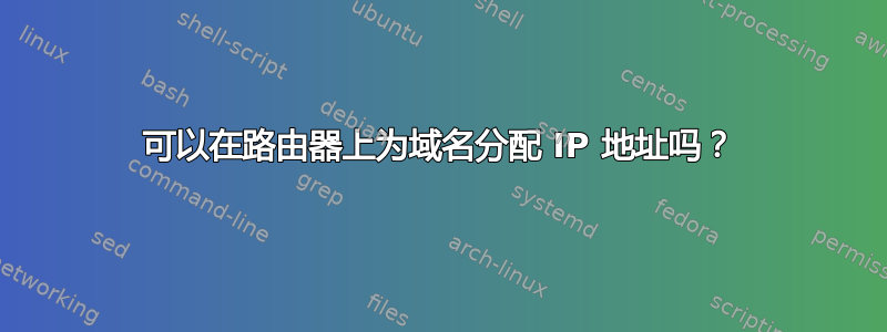 可以在路由器上为域名分配 IP 地址吗？