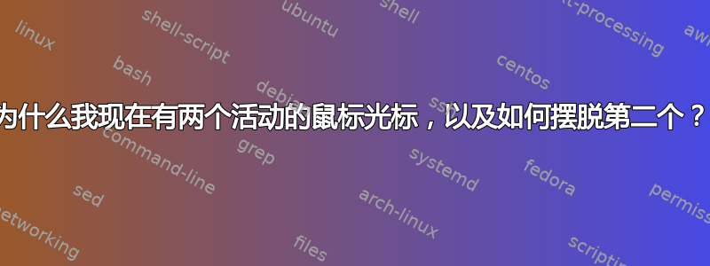 为什么我现在有两个活动的鼠标光标，以及如何摆脱第二个？