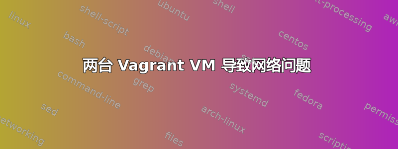 两台 Vagrant VM 导致网络问题