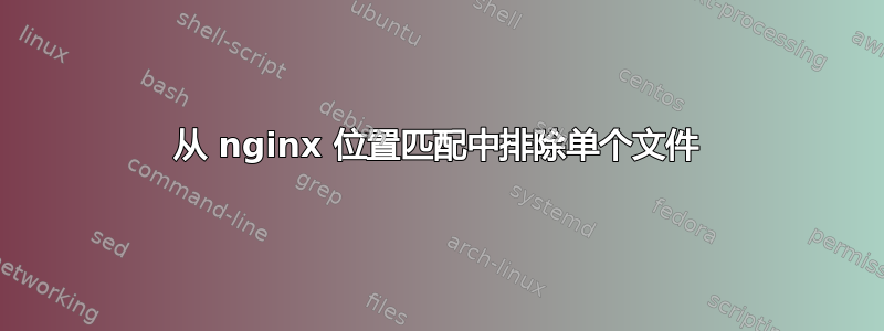 从 nginx 位置匹配中排除单个文件