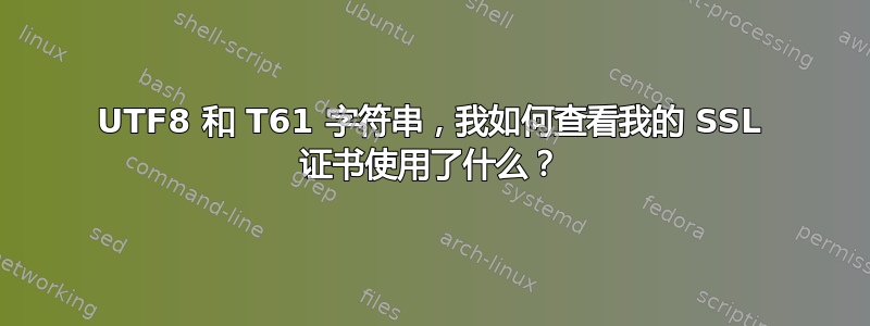 UTF8 和 T61 字符串，我如何查看我的 SSL 证书使用了什么？