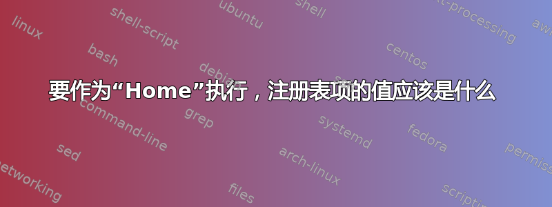 要作为“Home”执行，注册表项的值应该是什么