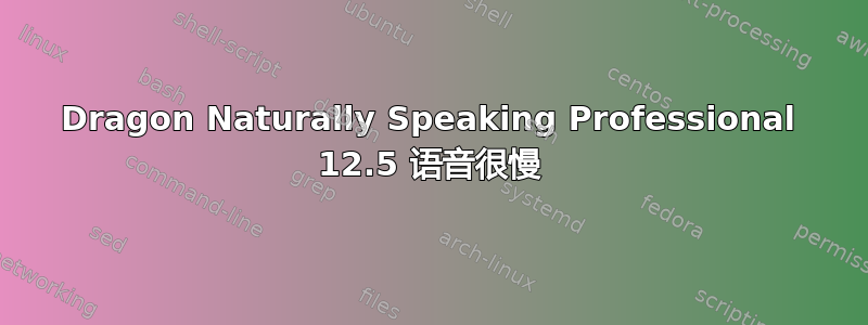 Dragon Naturally Speaking Professional 12.5 语音很慢