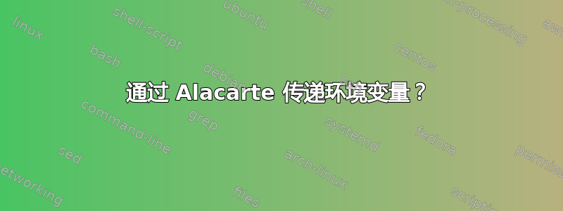 通过 Alacarte 传递环境变量？