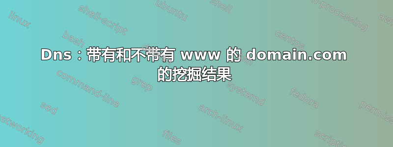 Dns：带有和不带有 www 的 domain.com 的挖掘结果