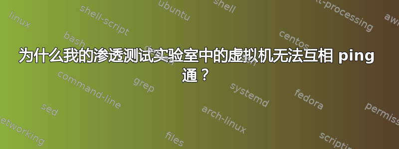 为什么我的渗透测试实验室中的虚拟机无法互相 ping 通？