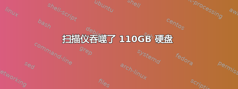 扫描仪吞噬了 110GB 硬盘