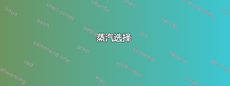 蒸汽选择