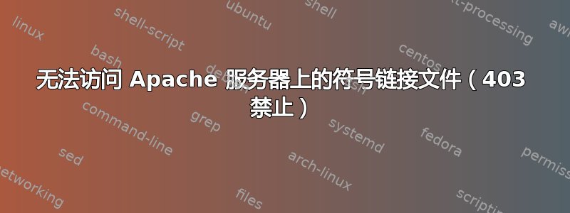 无法访问 Apache 服务器上的符号链接文件（403 禁止）