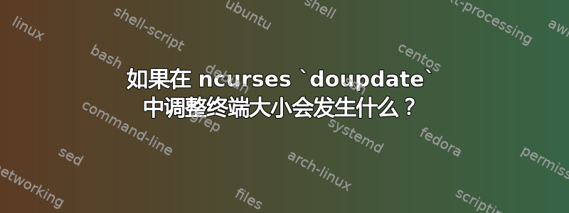 如果在 ncurses `doupdate` 中调整终端大小会发生什么？