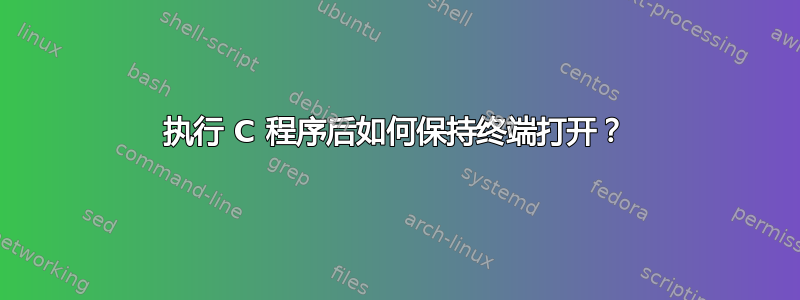 执行 C 程序后如何保持终端打开？