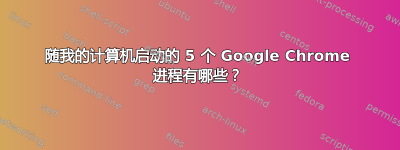 随我的计算机启动的 5 个 Google Chrome 进程有哪些？